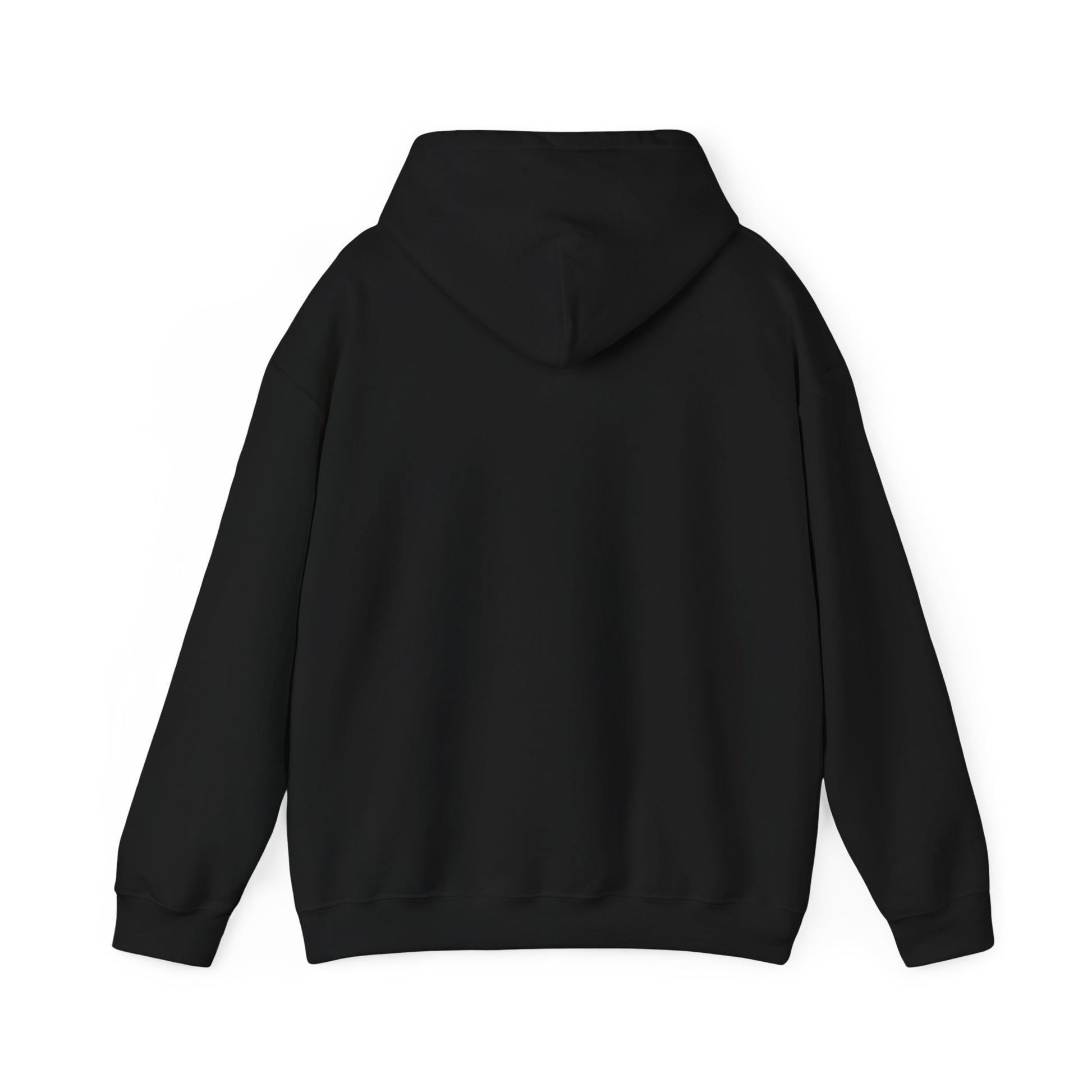 StreetScene - Gildan Heavy Blend Hoodie - Brand Logo - Black - Back